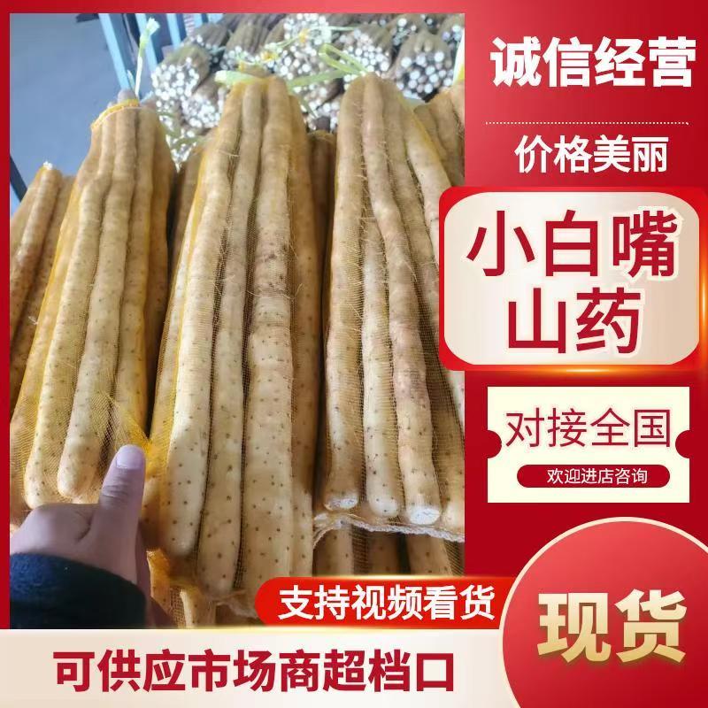 新鲜小白嘴山药网袋产地直发粉糯白山药批发量大优惠