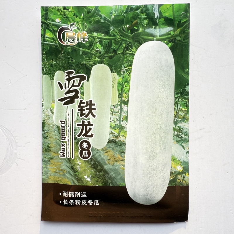 晨峰雪铁龙粉皮冬瓜种子长炮弹形肉厚腔小瓜型整齐瓜长