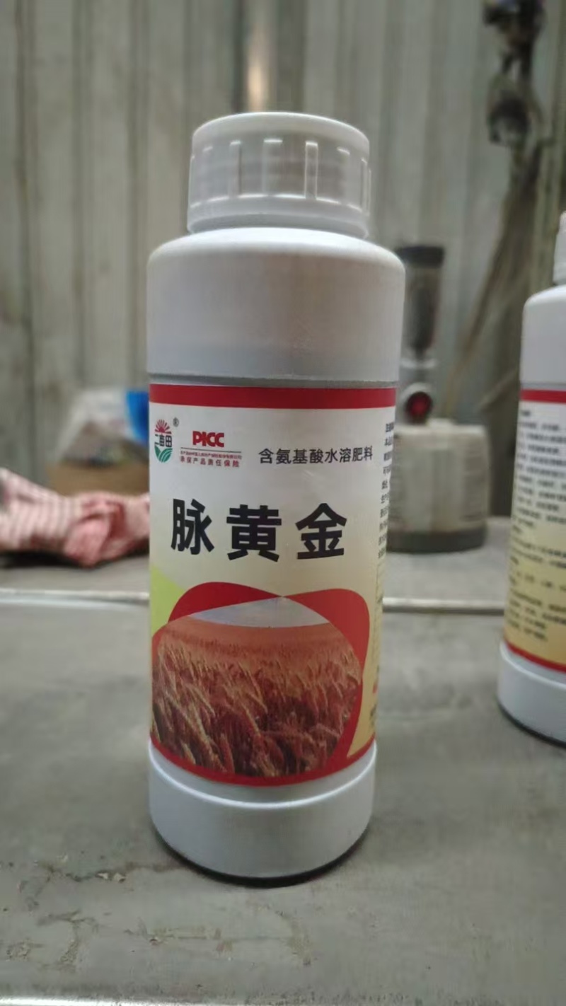 （脉黄金）小麦高产专用抗寒抗旱，返青快速递灌浆，果粒饱满