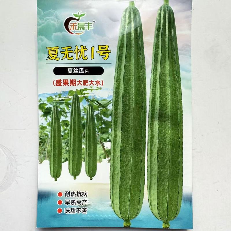 夏无忧1号丝瓜种子夏播早熟大肉花点丝瓜种夏季种植