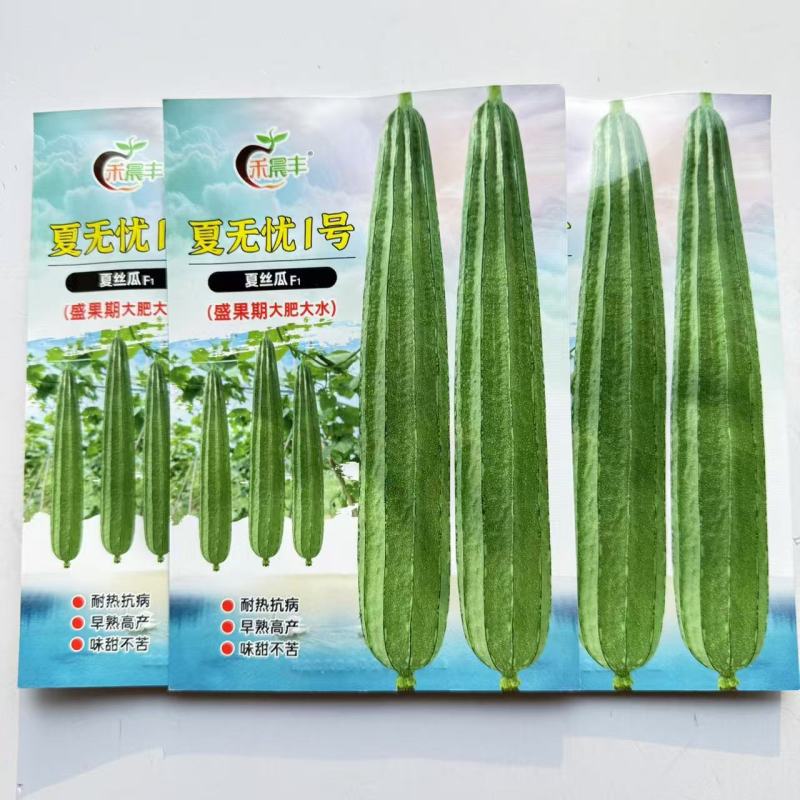 夏无忧1号丝瓜种子夏播早熟大肉花点丝瓜种夏季种植