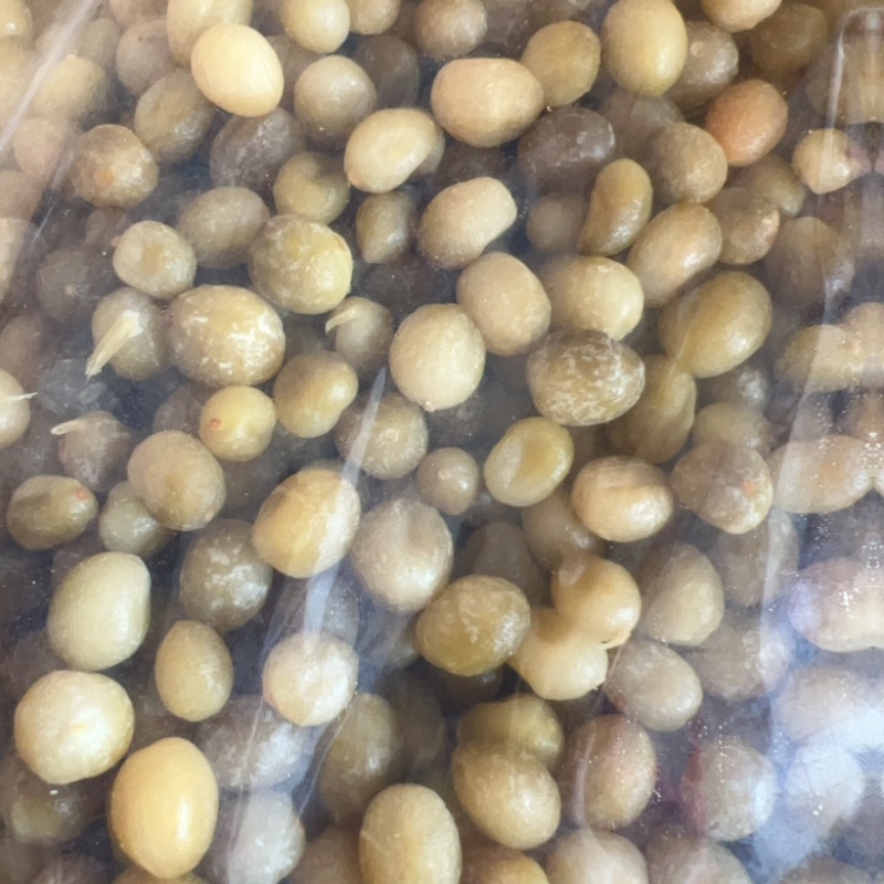 陈皮小春砂地摊电商批发陈皮小春砂干爆浆春砂仁蜜饯凉果