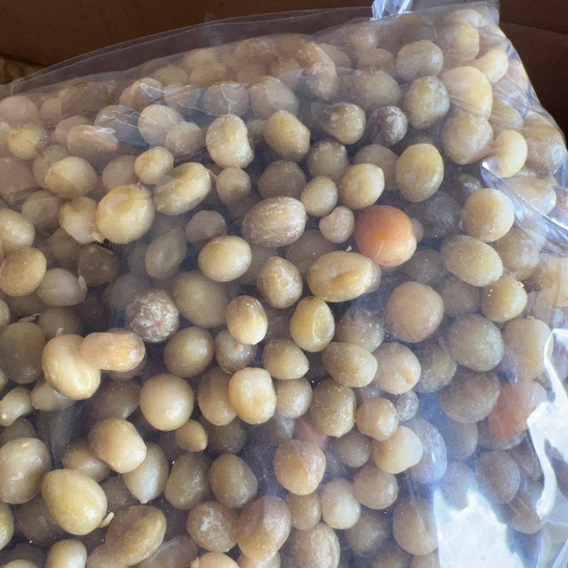 陈皮小春砂地摊电商批发陈皮小春砂干爆浆春砂仁蜜饯凉果