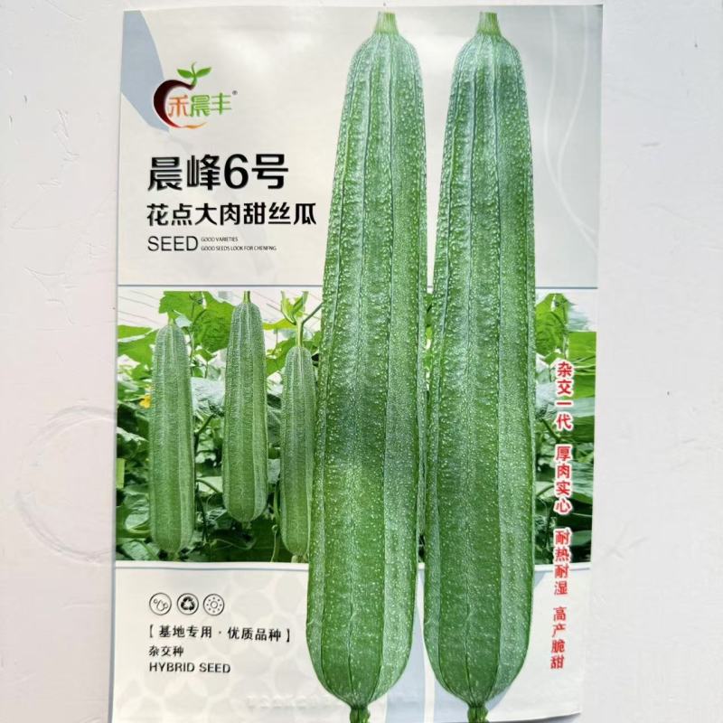 晨峰6号花点大肉甜丝瓜种子花点棱角丝瓜肉厚实心脆甜产