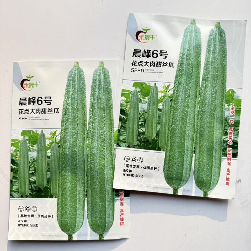 晨峰6号花点大肉甜丝瓜种子花点棱角丝瓜肉厚实心脆甜产