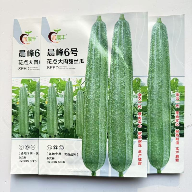 晨峰6号花点大肉甜丝瓜种子花点棱角丝瓜肉厚实心脆甜产