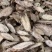 宽筋藤【包邮】三斤起发货可批量可零售量大从优