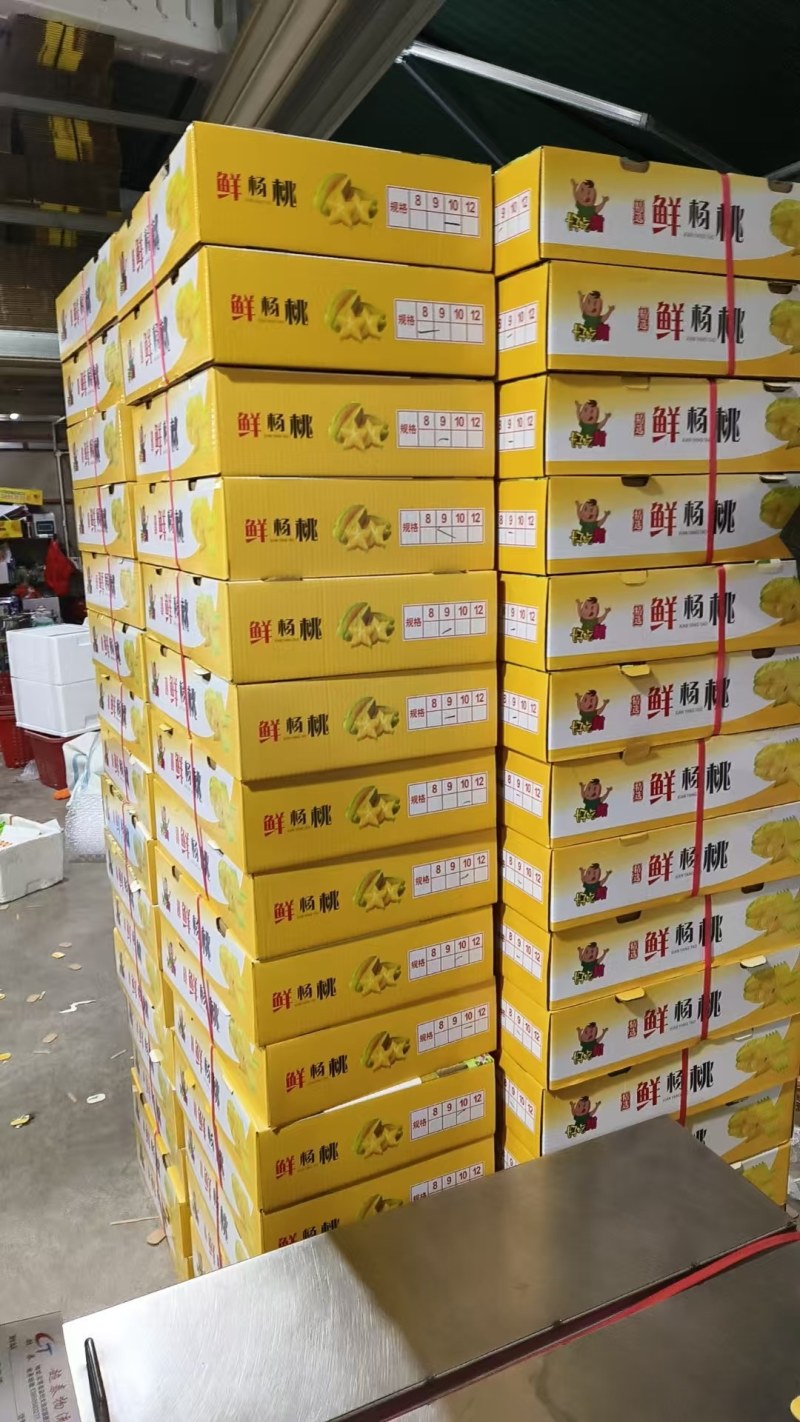 红龙杨桃礼盒装