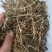 苦瓜藤1公斤正品新货干苦瓜茎精选新货草药中药材正品
