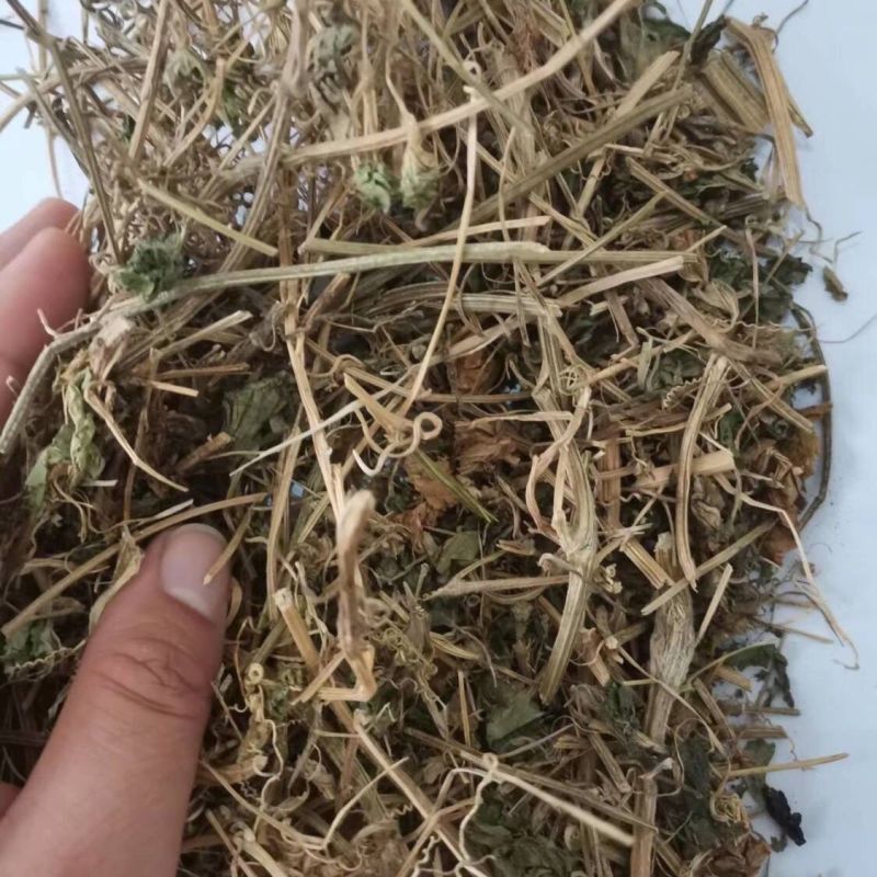 苦瓜藤1公斤正品新货干苦瓜茎精选新货草药中药材正品