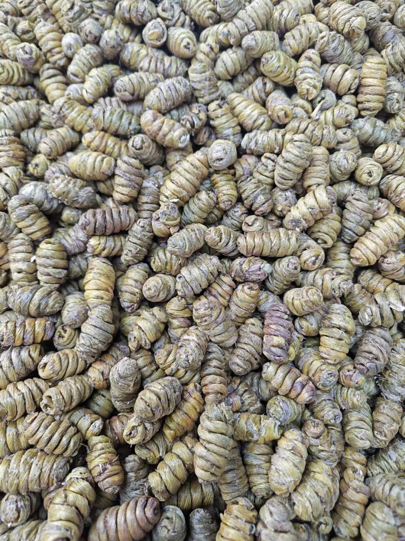 云南铁皮石斛枫斗，胶质感，一手货源，量大质优可视频看货