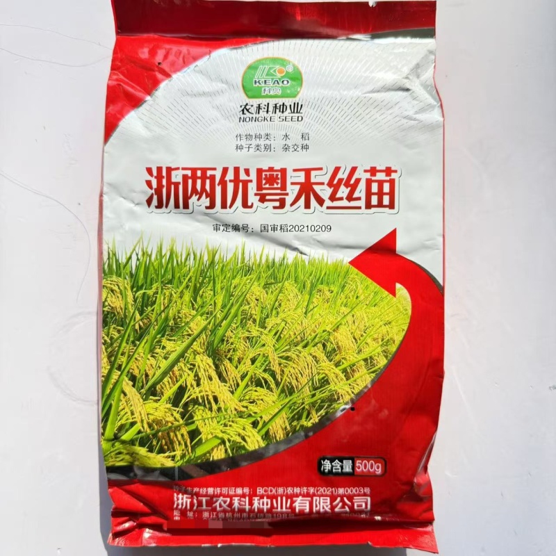 浙两优粤禾丝苗水稻种子高产抗病稻谷种子纯夏播长粒杂交水稻