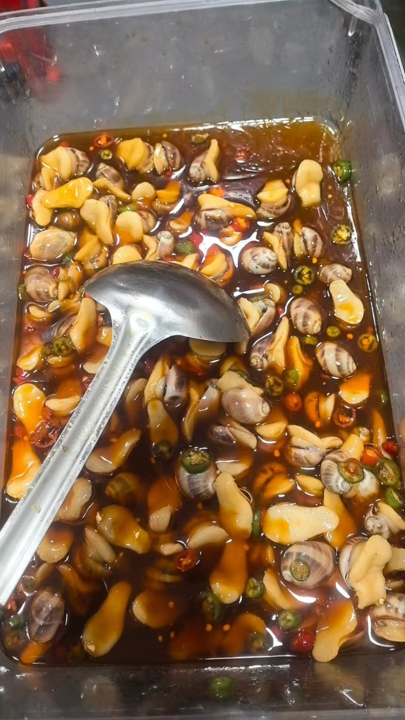 海螺鲍螺珍珠螺贵妃螺珍珠螺花螺捞汁小海鲜食材壳薄肉大