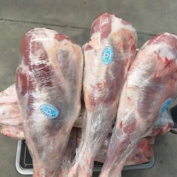 羊腿羔羊前腿精修纯干货2-4斤规格齐全一件起发质量好