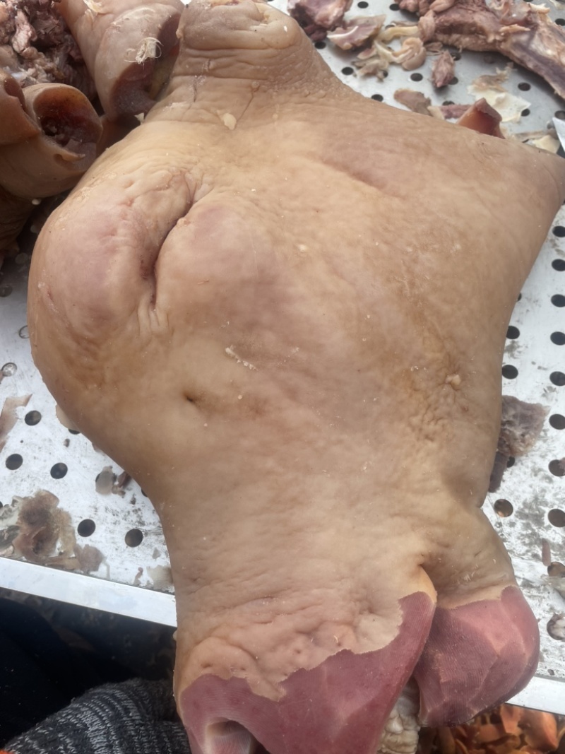全网低价牛头肉现货秒发24小时在线服务