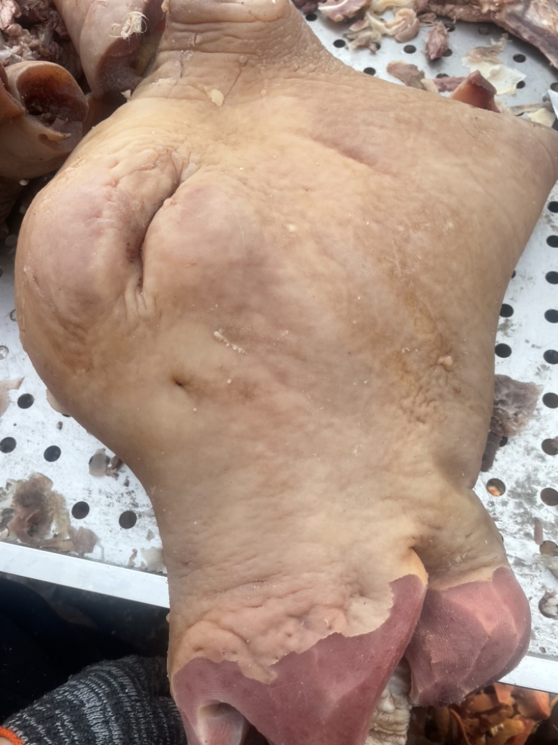 全网低价牛头肉现货秒发24小时在线服务