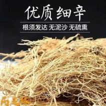 【辽细辛】产地辽宁实物拍摄一手货源大货供应规格齐全量大优