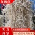产地直发，水洗折耳根，现挖现发，量大从优，农户直发