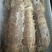 皮皮虾