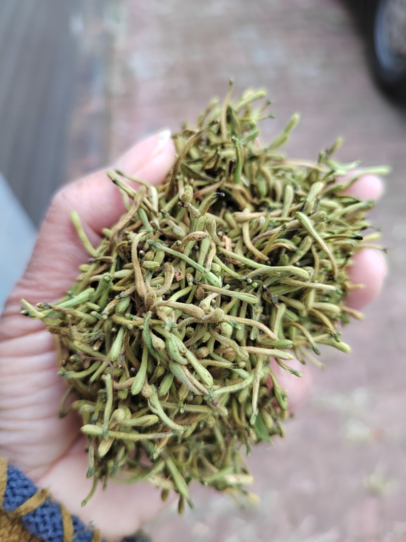 野生金银花花籽，生晒无硫，具有淡淡的清香味