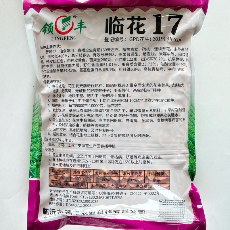 临花17花生种子高出油花生种籽抗病耐旱原种春播