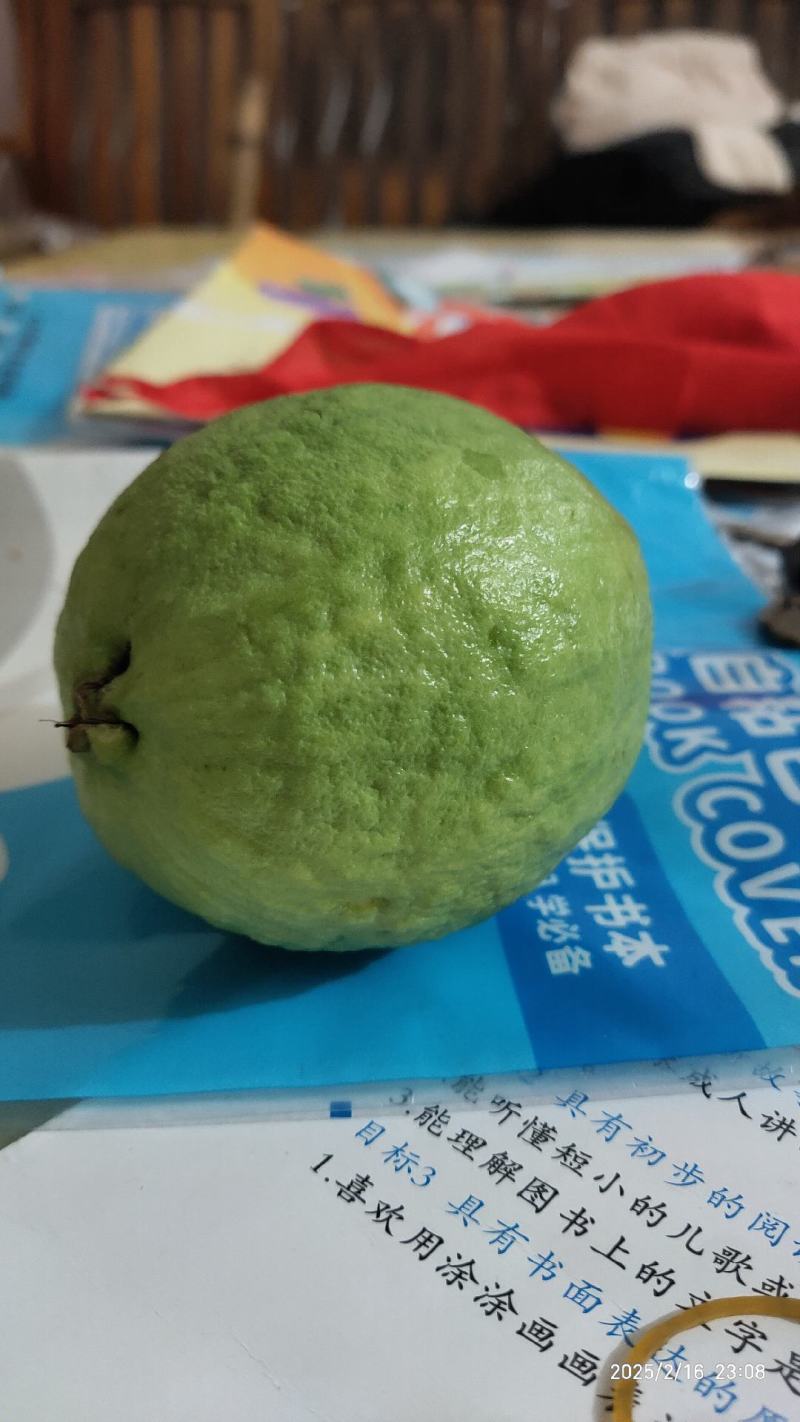 帝王番石榴，白心芭乐，红心芭乐
