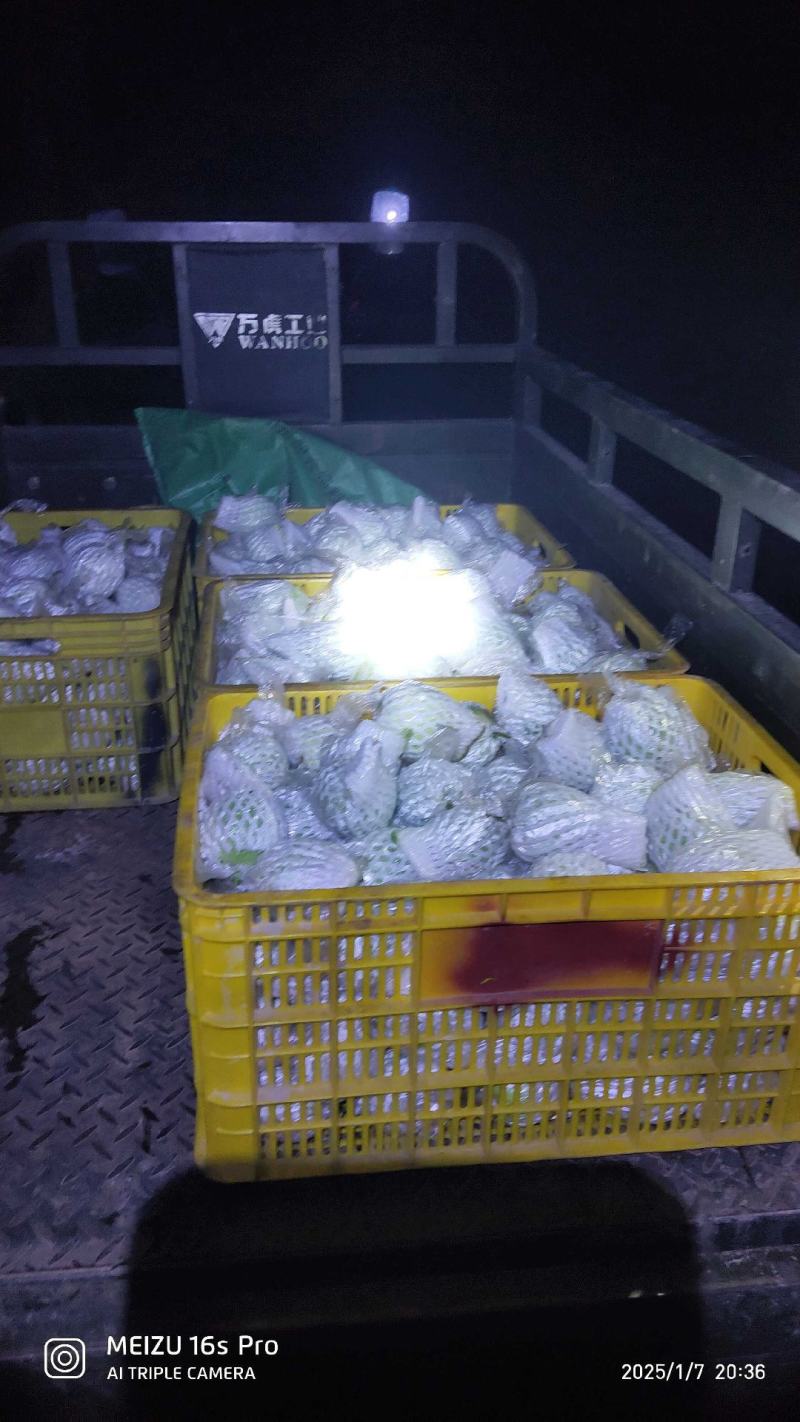 帝王番石榴，白心芭乐，红心芭乐