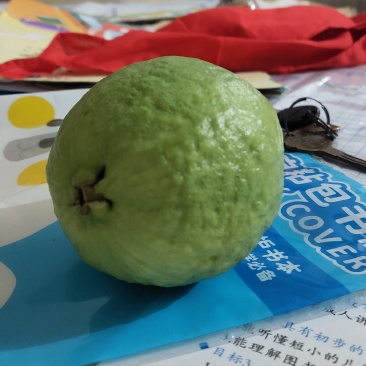 帝王番石榴，白心芭乐，红心芭乐