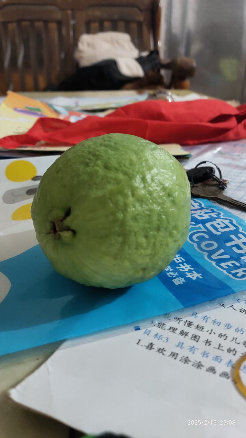帝王番石榴，白心芭乐，红心芭乐
