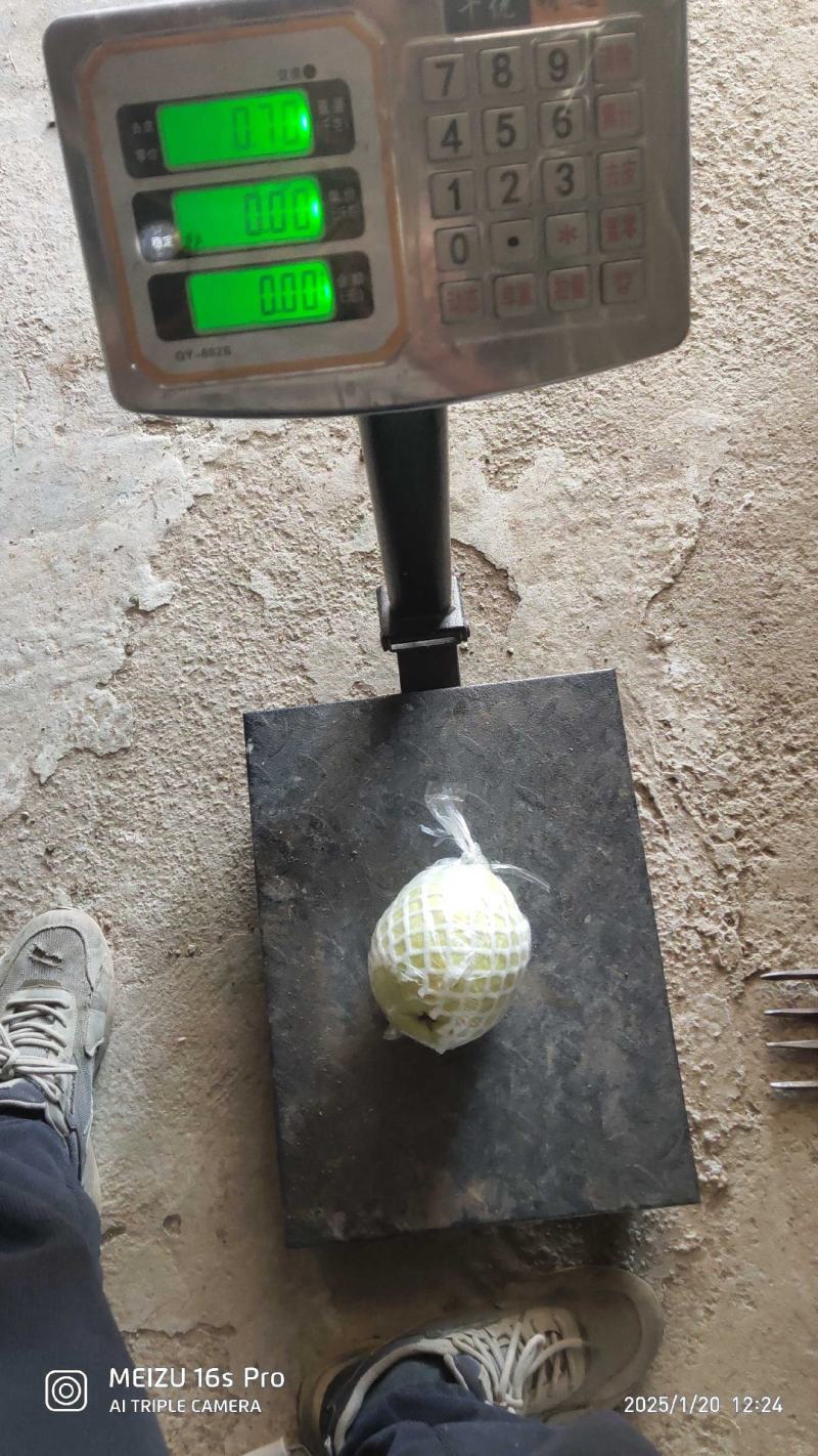 帝王番石榴，白心芭乐，红心芭乐