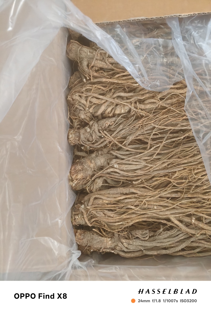 甜当归，手工挑选，精心加工，价格实惠。