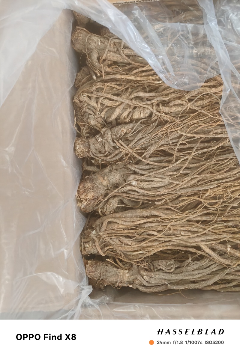 甜当归，手工挑选，精心加工，价格实惠。