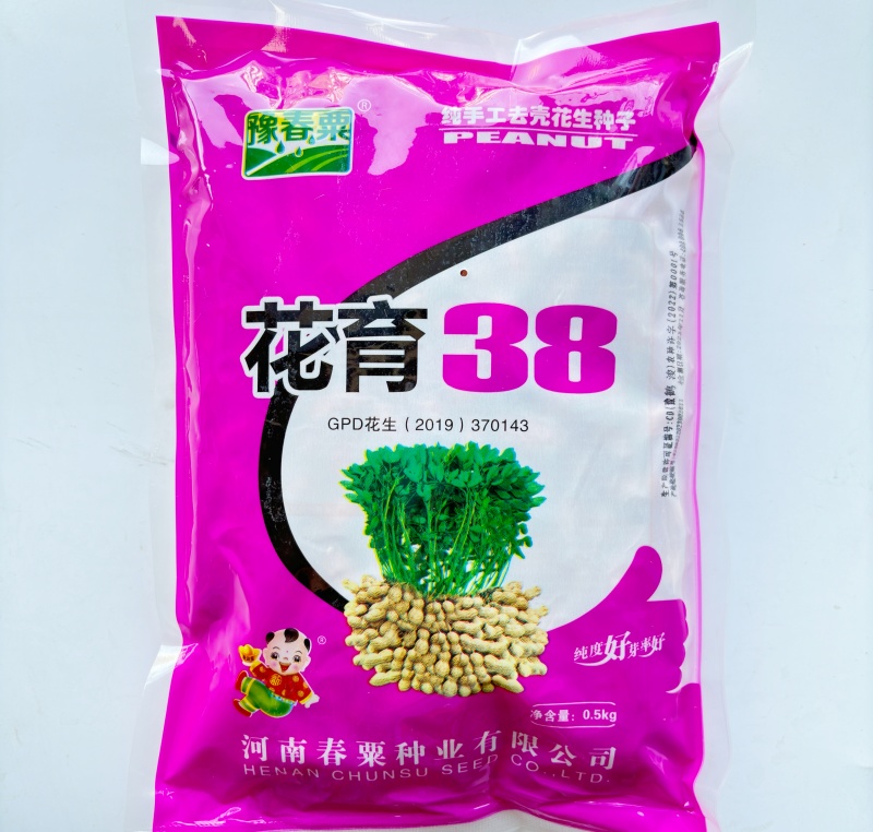 花育38大粒花生种子高产抗病出油多手工去壳皮粉红色花生种