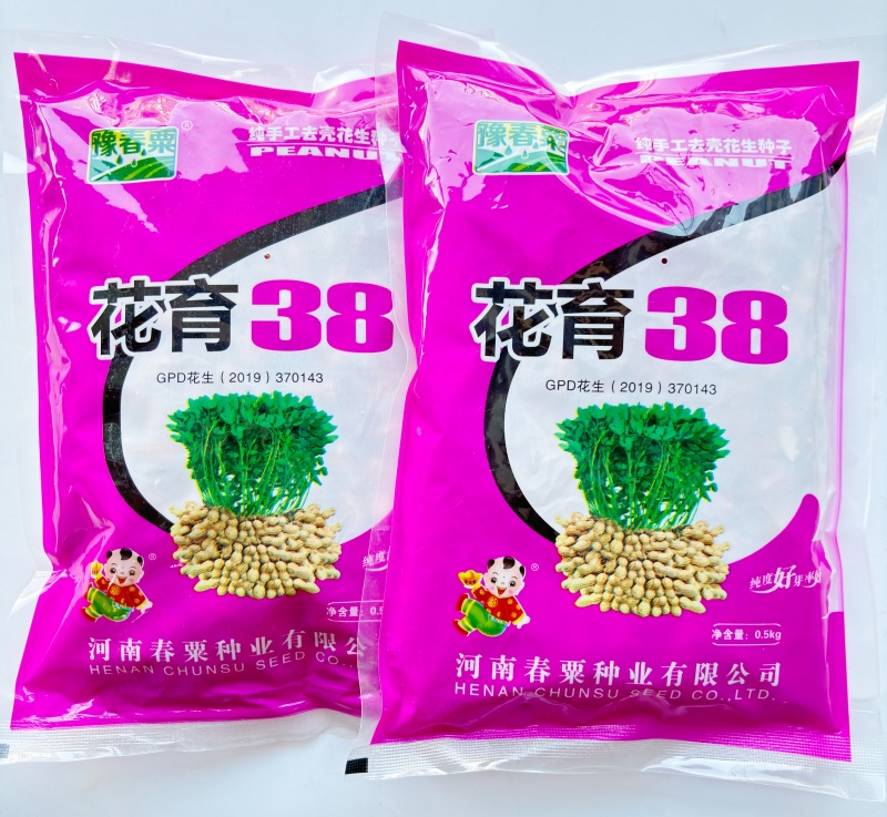 花育38大粒花生种子高产抗病出油多手工去壳皮粉红色花生种