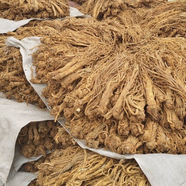 正品独活，水洗，颜色金黄，精心加工，优选产品。