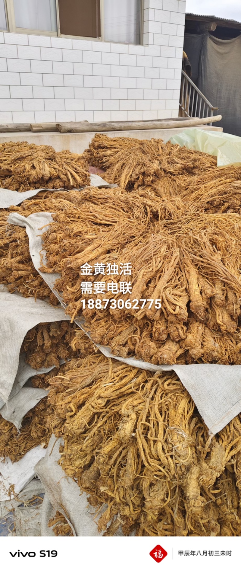 正品独活，水洗，颜色金黄，精心加工，优选产品。