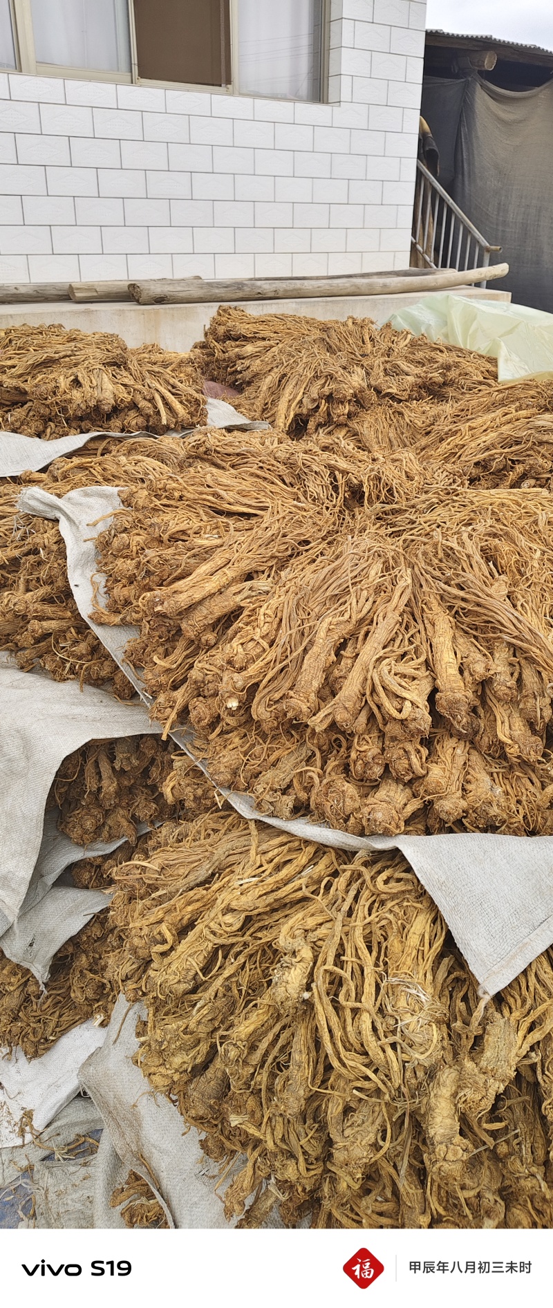 正品独活，水洗，颜色金黄，精心加工，优选产品。
