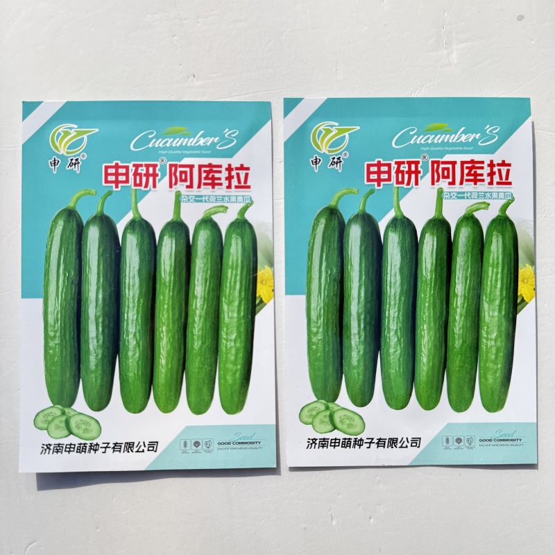 申研阿库拉荷兰水果黄瓜种子无刺小黄瓜旱黄瓜籽阳台盆栽