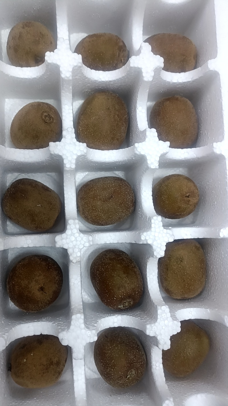 一件代发，黄心猕猴桃，电商对接，新鲜水果，