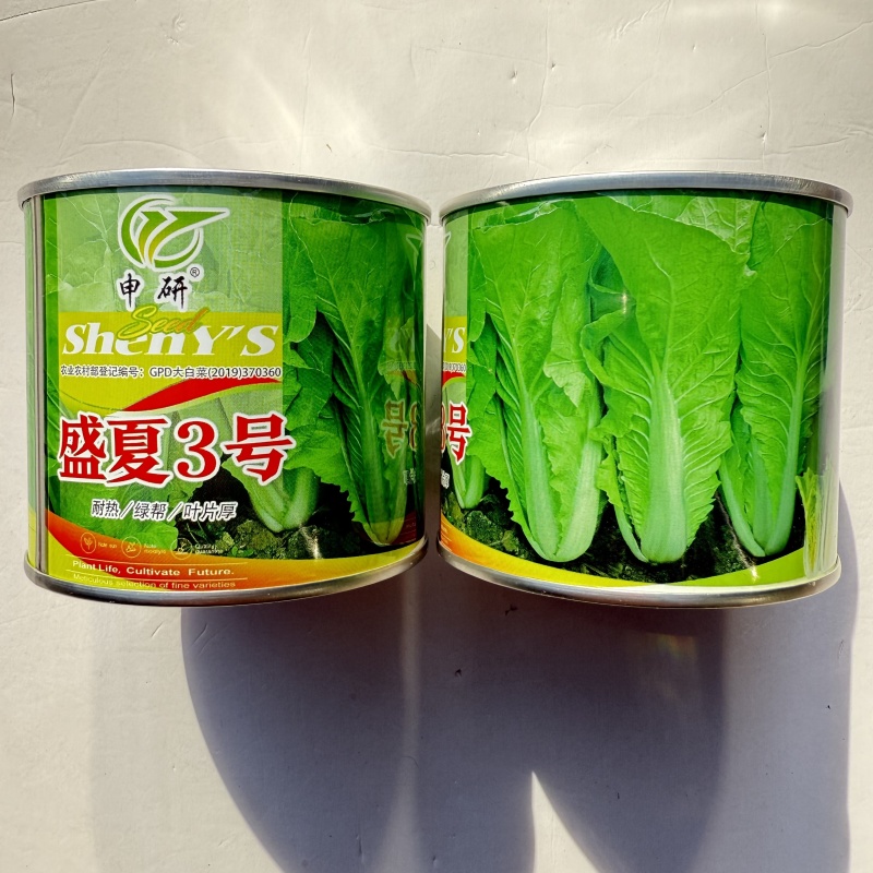 盛夏3号速生小白菜种子耐热绿帮厚叶快菜种籽蔬菜种籽