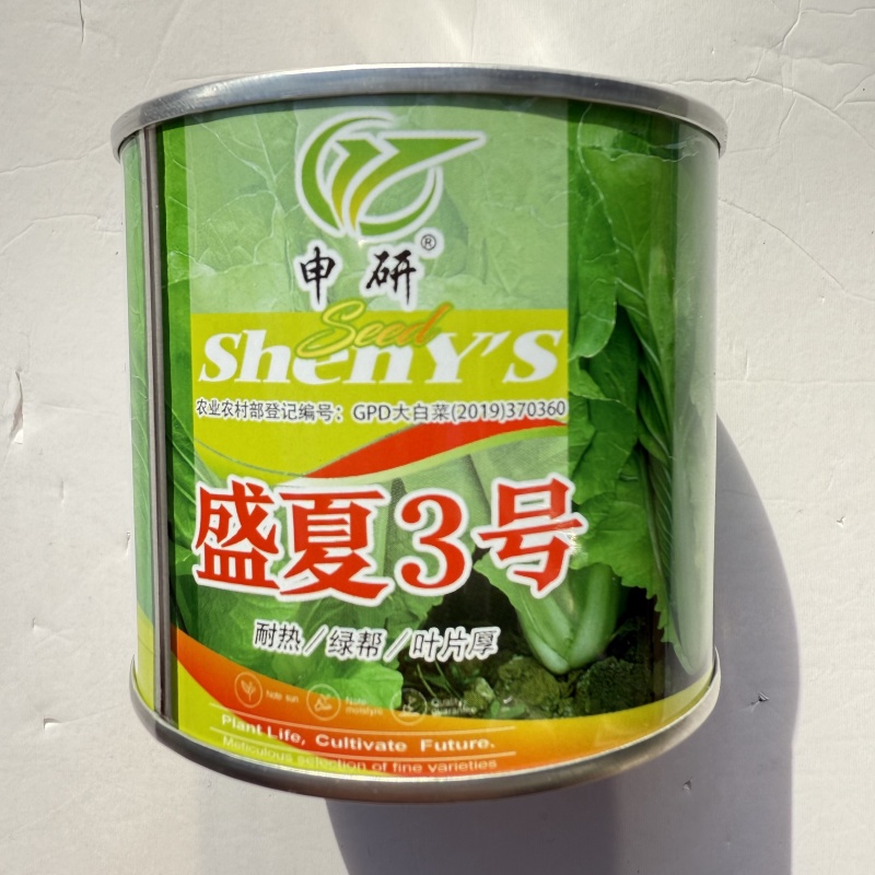 盛夏3号速生小白菜种子耐热绿帮厚叶快菜种籽蔬菜种籽
