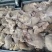 牛欢喜（牛屁股，尿泡，欢喜等连体，）无油无杂志，全部是筋