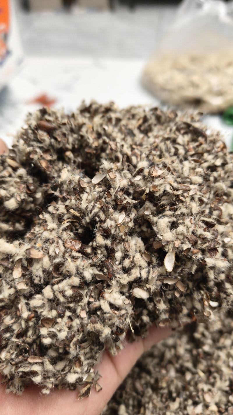 磨盘棉籽壳，新疆棉籽壳，河北棉籽壳，山东棉籽壳销售