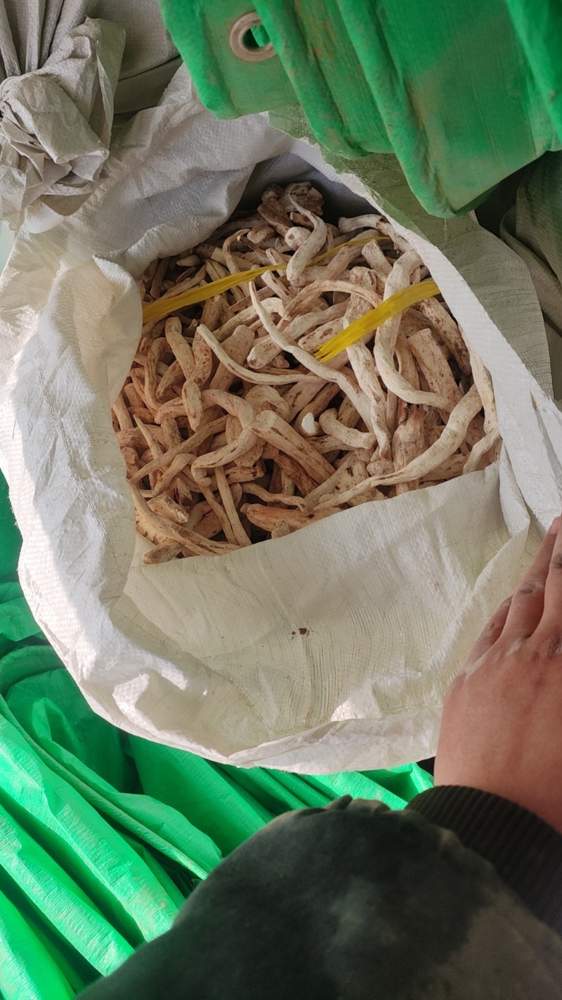 山药净条个子