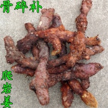 鲜货骨碎朴~干净鲜货