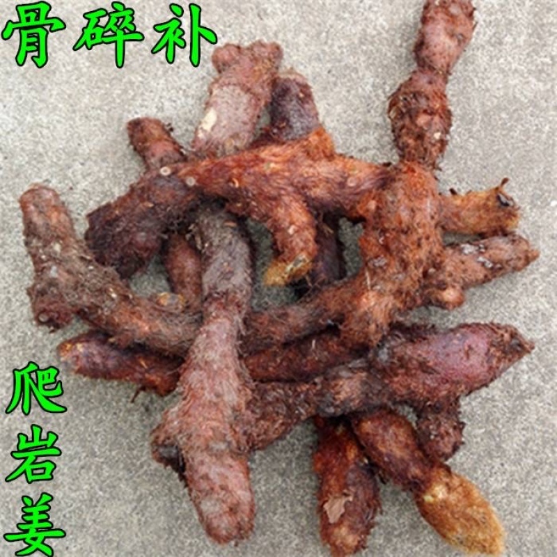 鲜货骨碎朴~干净鲜货