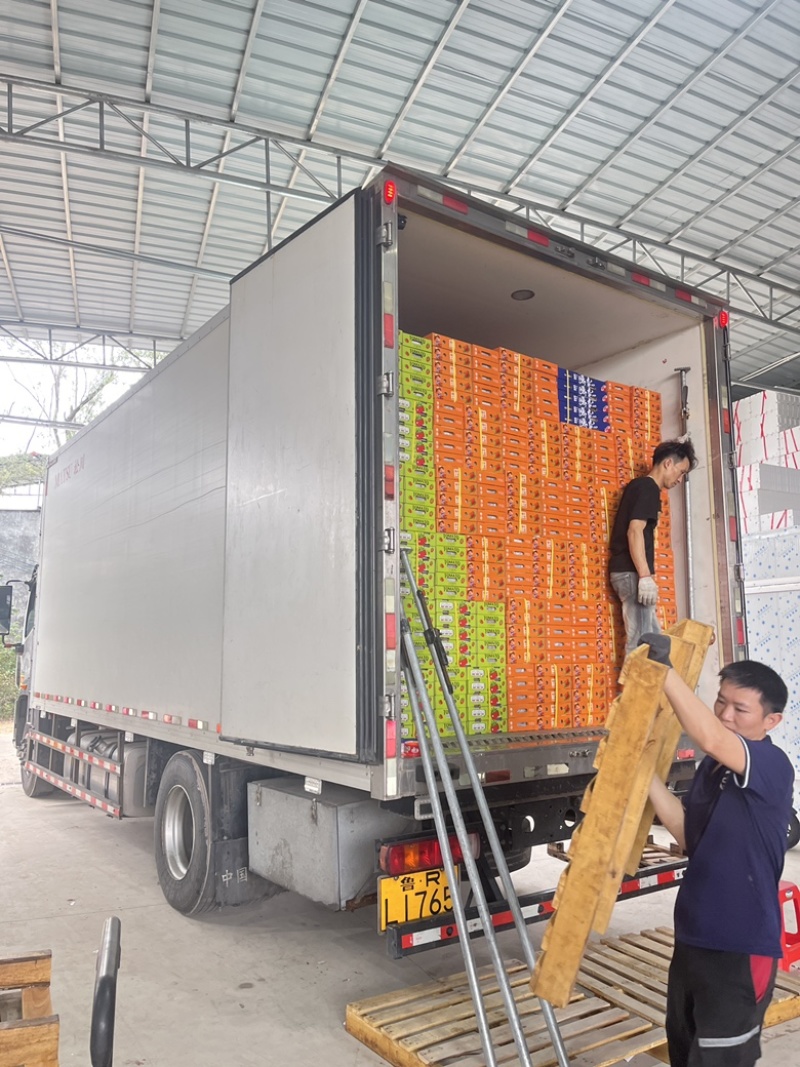 电白千禧圣女果基地直供品质保障口感好甜度高