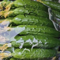 黄瓜