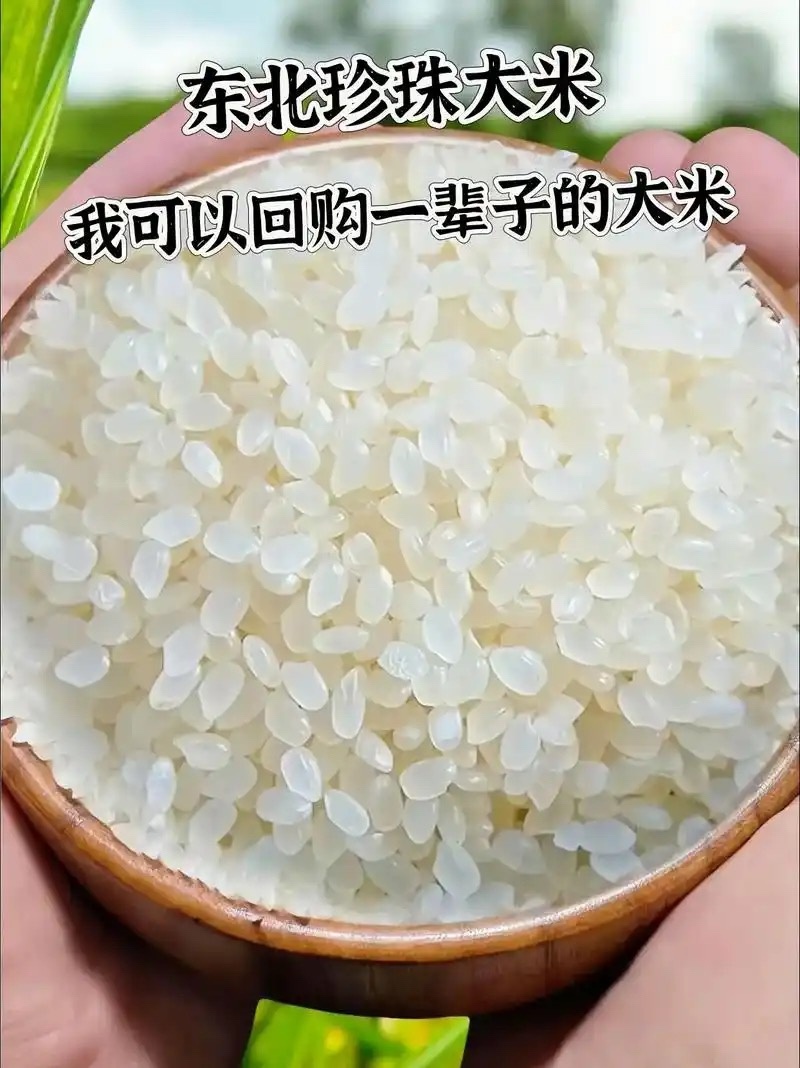 黑龙江珍珠米，圆粒大米品质保证支持视频看货欢迎来电