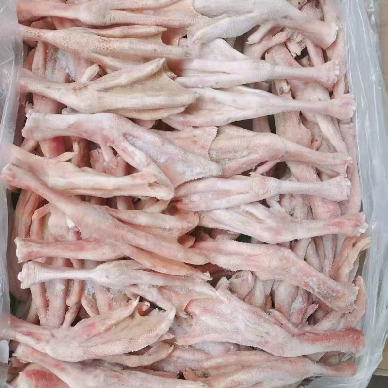 鹅脚